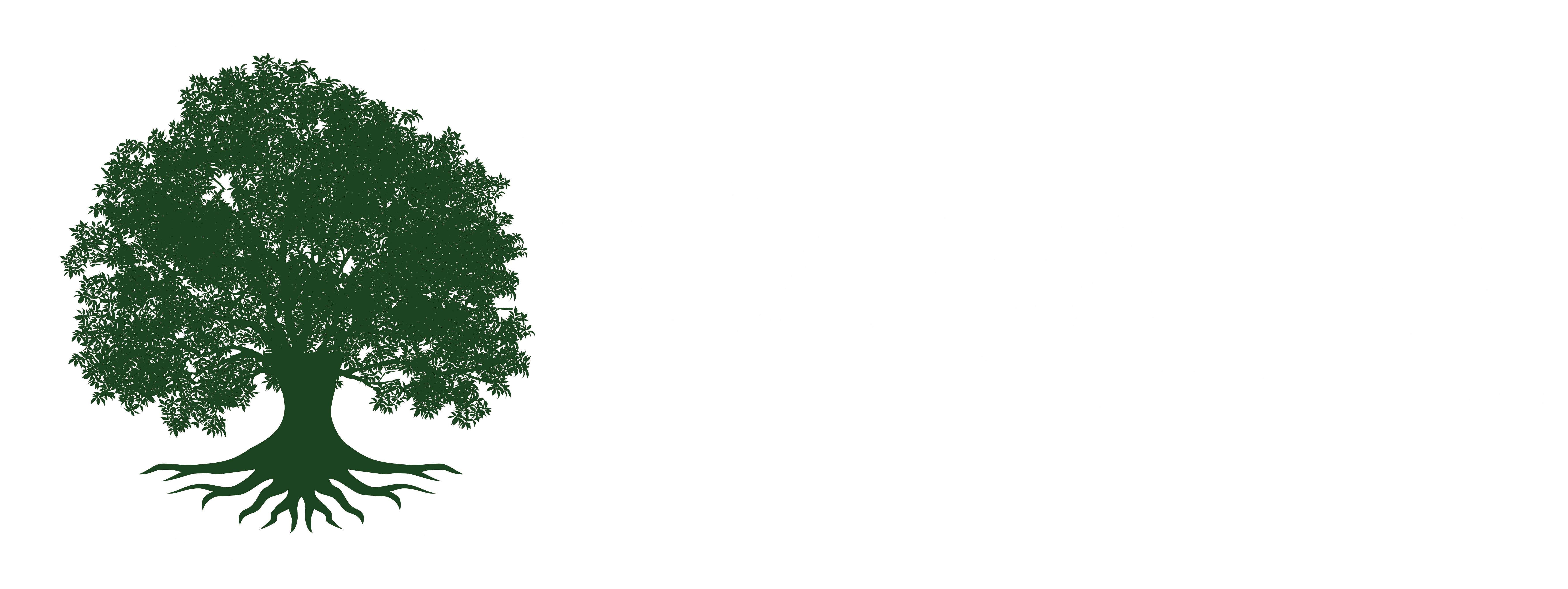 Carvalho Cosméticos